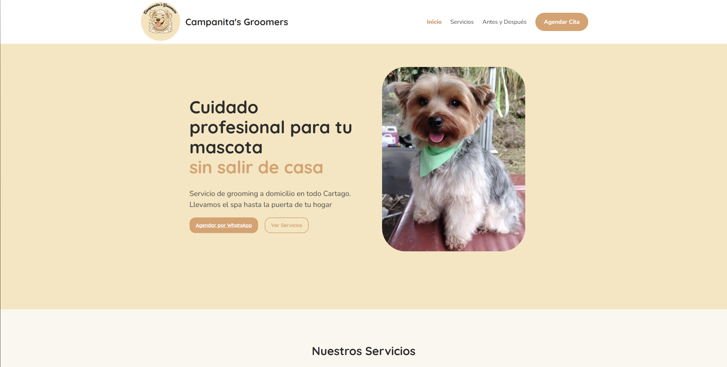 Sitio web de Campanita's Grooming